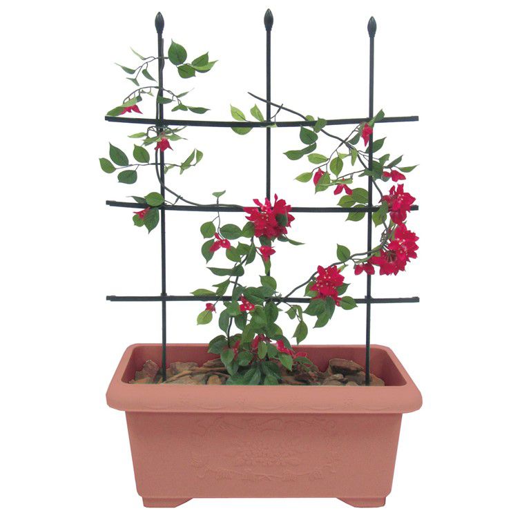 Flower supports - Multi Functional Trellis